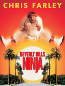 review-film-beverly-hills-ninja