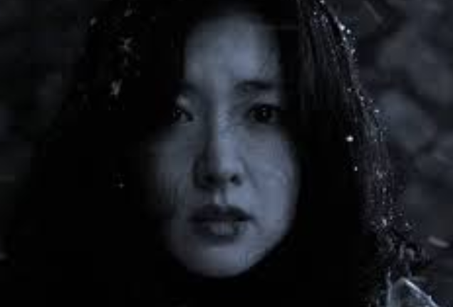 Review Film Lady Vengeance: Balas Dendam yang Elegan
